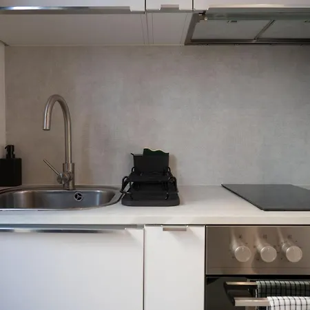 Gambetta Near Attractions * Nizza